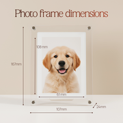 Digital Photo & Video Frame By Eliver