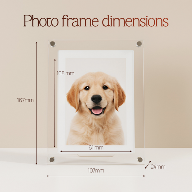 Digital Photo & Video Frame By Eliver